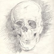 Schmuckbild
